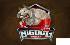 RC4WD BigDog 1/10 Triple Axle Scale Boat Trailer ** CLEARANCE ** -Deals RC4WD Store Z H0011 4